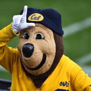 Meet your Posher, Liam